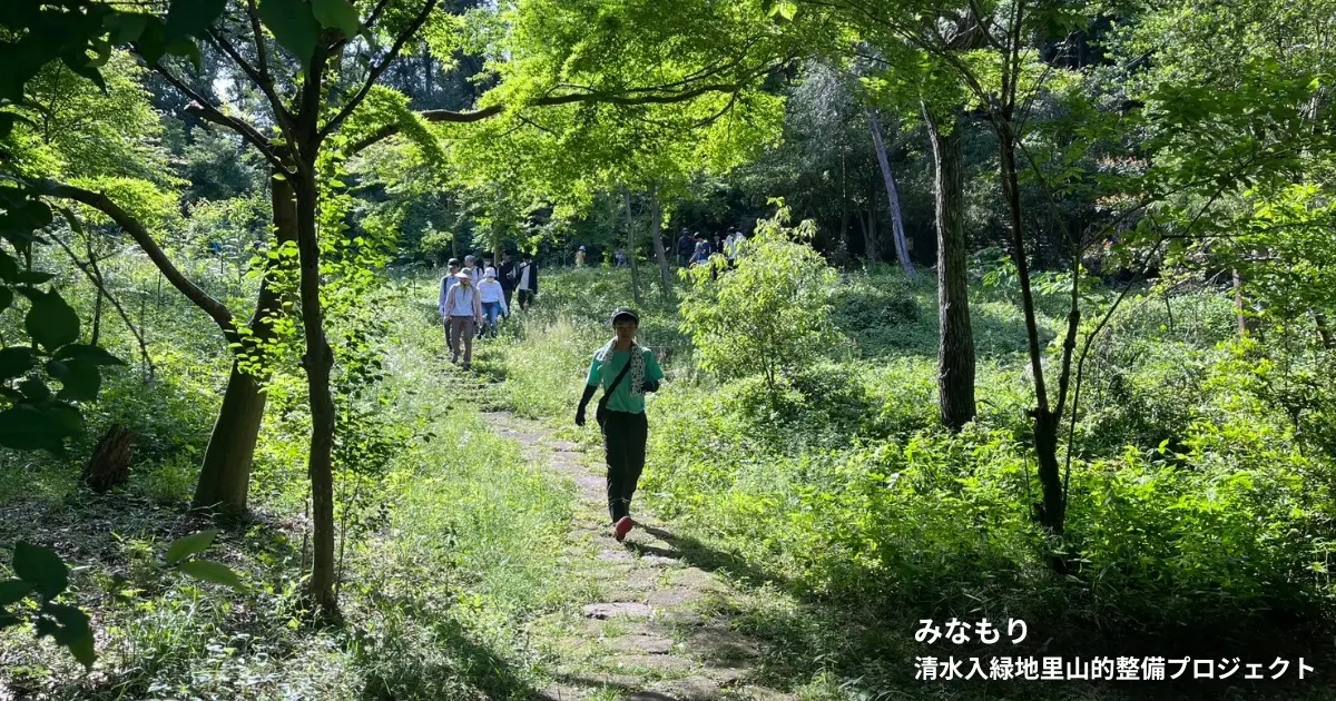 中止【自然維持活動】6/27(土) 南大沢の清水入緑地で里山整備を実施します｜みなもり